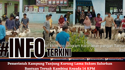 Pemerintah Kampung Tanjung Kurung Lama Sukses Salurkan Bantuan Ternak Kambing Kepada 14 KPM