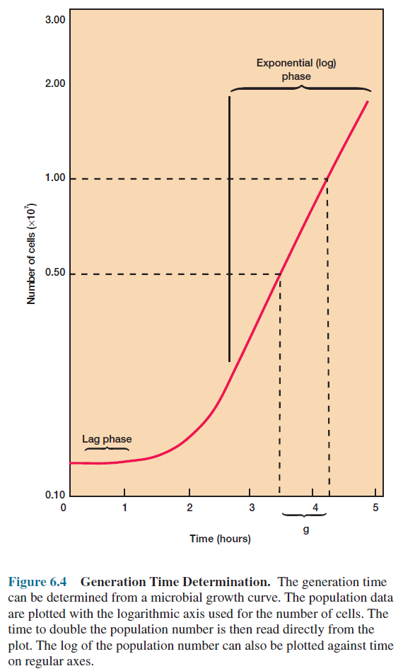 Bacterial Generation Time Determination