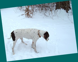 Giggles in the snow