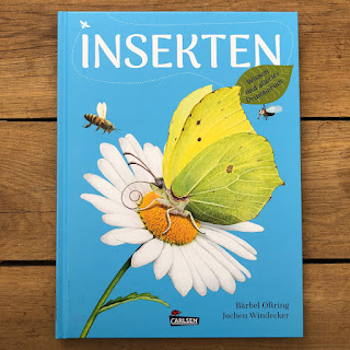 „Insekten – Wissen und allerlei Drumherum“ von Bärbel Oftring * Illustrationen von Jochen Windecker * Carlsen Verlag