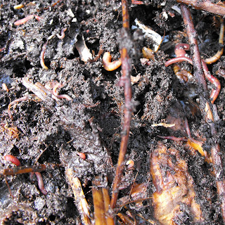 trash can composter plans