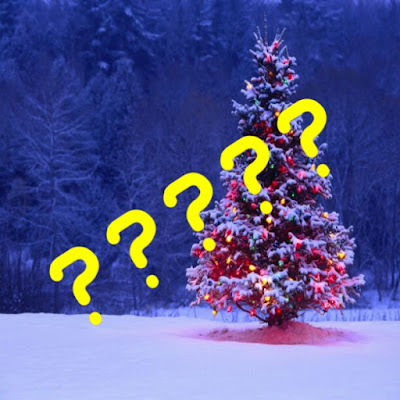 11 Weird Facts about the Popular #Christmas Celebration, www.xpinomedia.com
