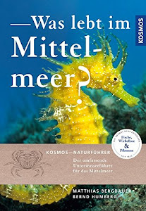 Was lebt im Mittelmeer?