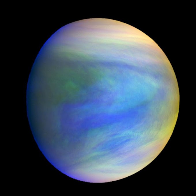 The Possible Cloud-Life found on Venus might be a fluke in Data Processing