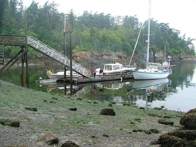 Minus tide at Rolfe Cove on Matia Island in the San Juan's