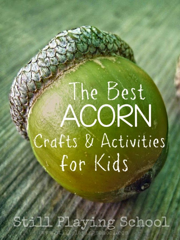The Best Acorn Crafts and Activities for Kids  Still 