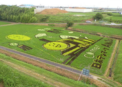 Japanese Rice Paddy Art 2010