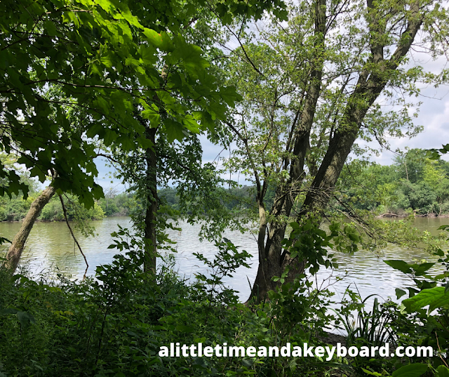 Tekakwitha Woods Forest Preserve runs along the Fox River.