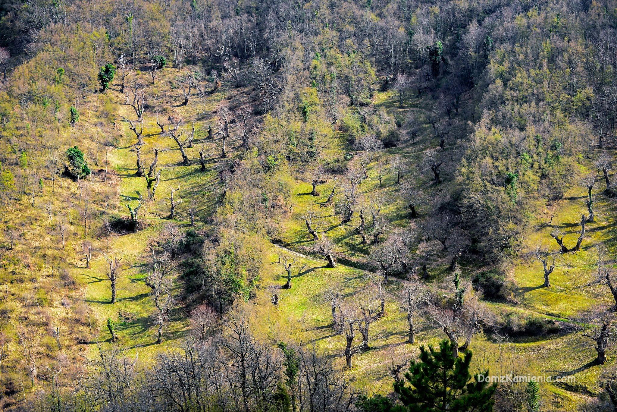 Trekking Toskania, Marradi, Dom z Kamienia blog