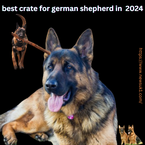 the best crate for german shepherd in  2024