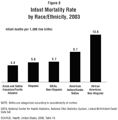 Infant Mortality Rate by Race/Ethnicity, 2003