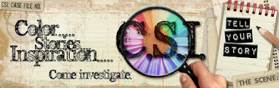 CSI: Color, Stories, Inspiration