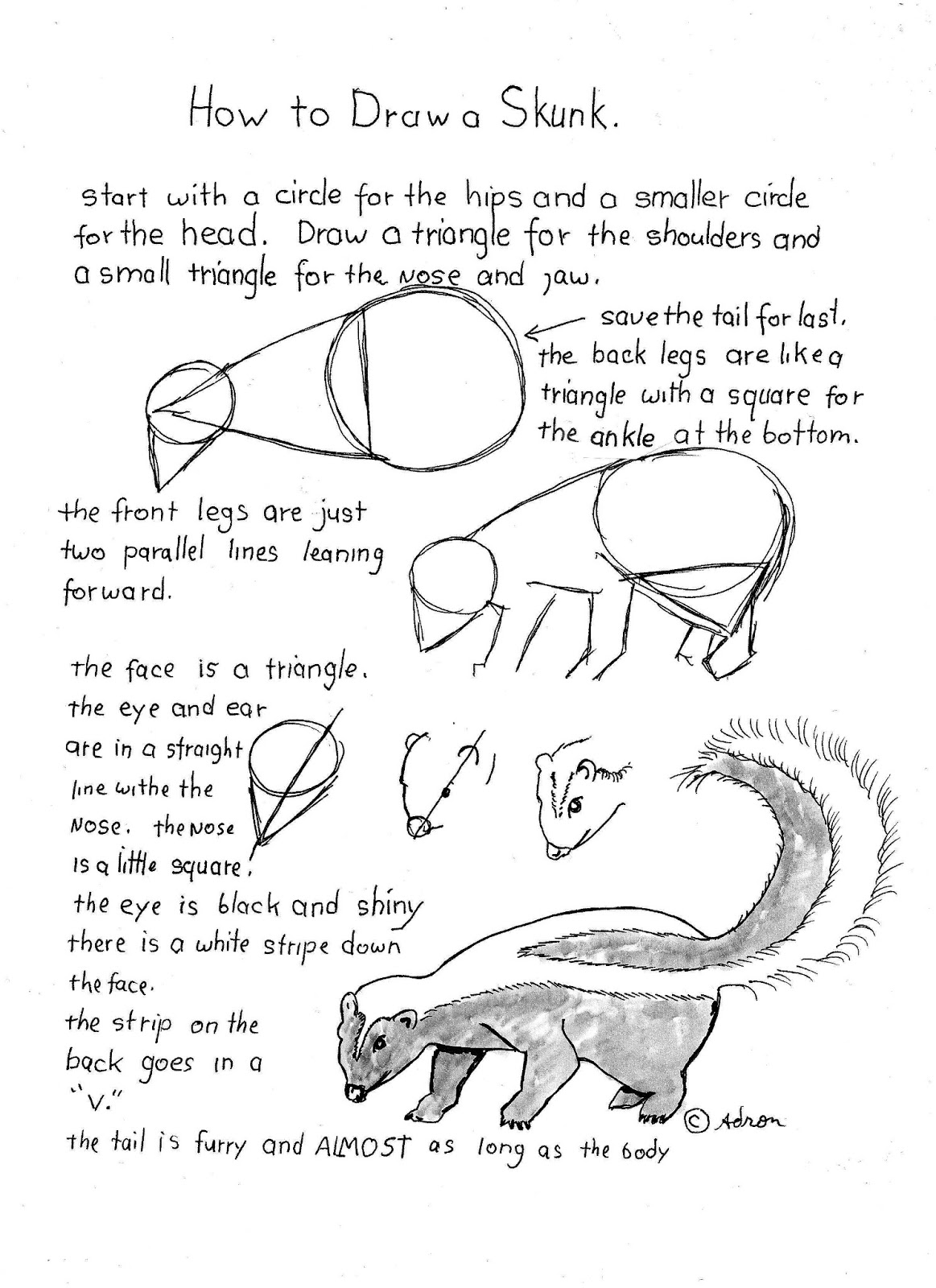 How to Draw Worksheets for The Young Artist: How To Draw A Skunk Worksheet