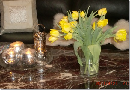 April-maj 2011 093