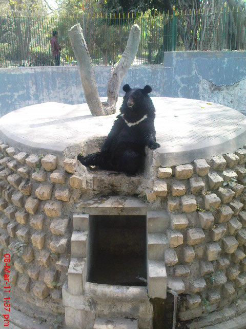 Only Karachi: Visit In Karachi Zoo