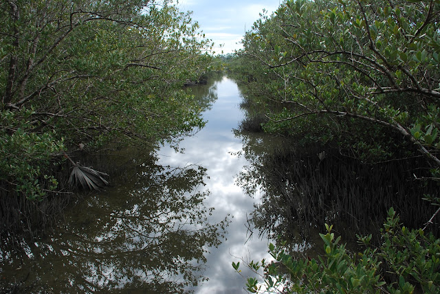 Washington Oaks Gardens State Park
