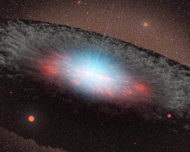 Black Hole Galaxy