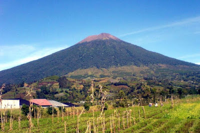  Daftar Gunung Tertinggi di Indonesia Beserta Ketinggiannya 12 Daftar Gunung Tertinggi di Indonesia Beserta Ketinggiannya