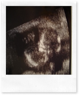 14_weeks_(2)