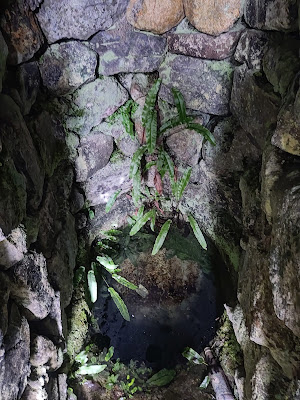 The Headache Stone and Saint Hugh's Well, Rahugh.