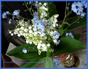 POUR VOUS UN PETIT BOUQUET DE MUGUET . Publié par SOUS LE CIEL DE PARIS ET . (copie de divers )