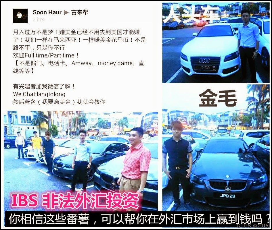 【IBS 非法外汇投资】