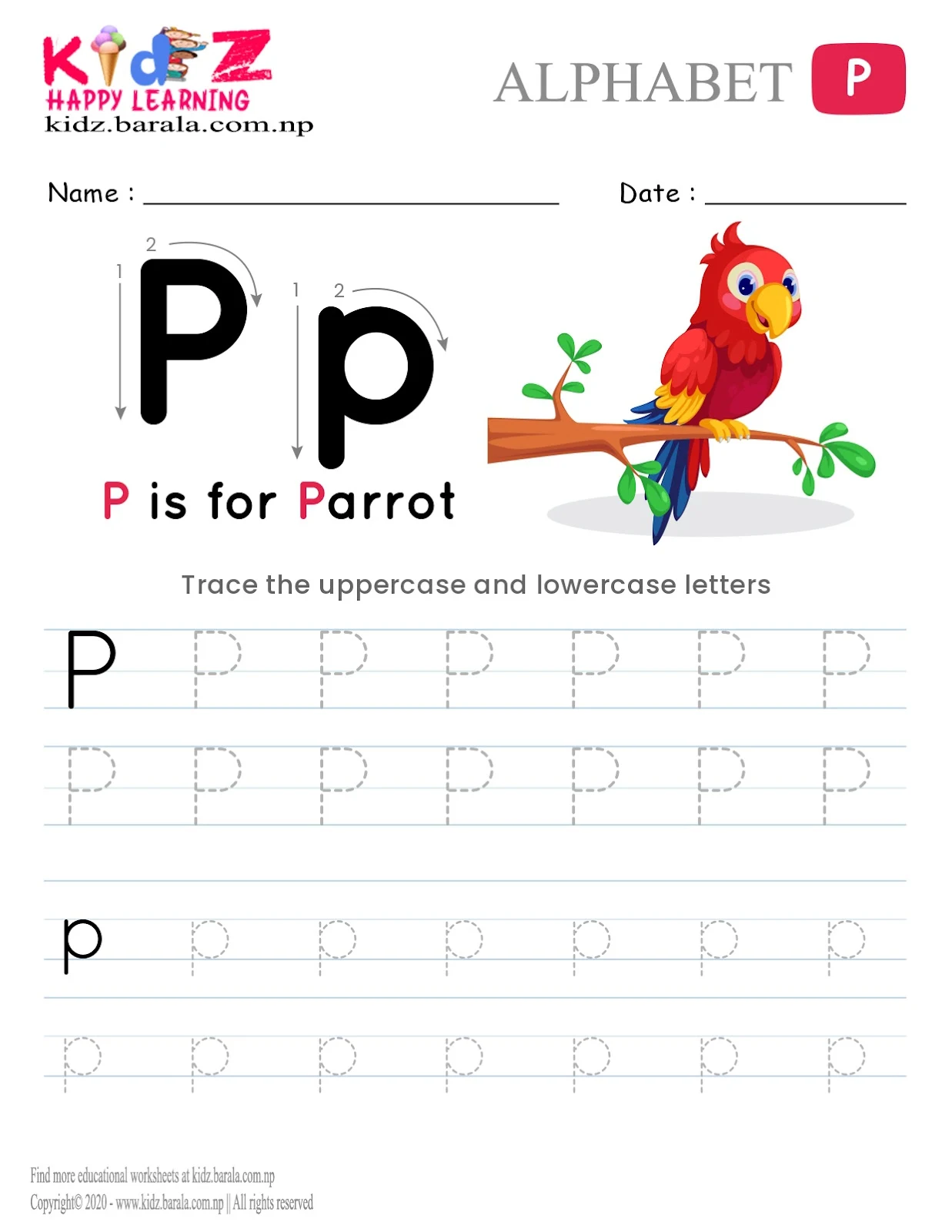 Alphabet P tracing worksheet free download .pdf