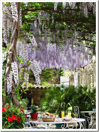 petit-dejeuner-glycine