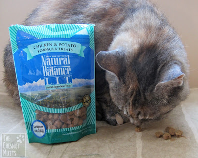 Smooshie trying out some Natural Balance L.I.T Cat Treats