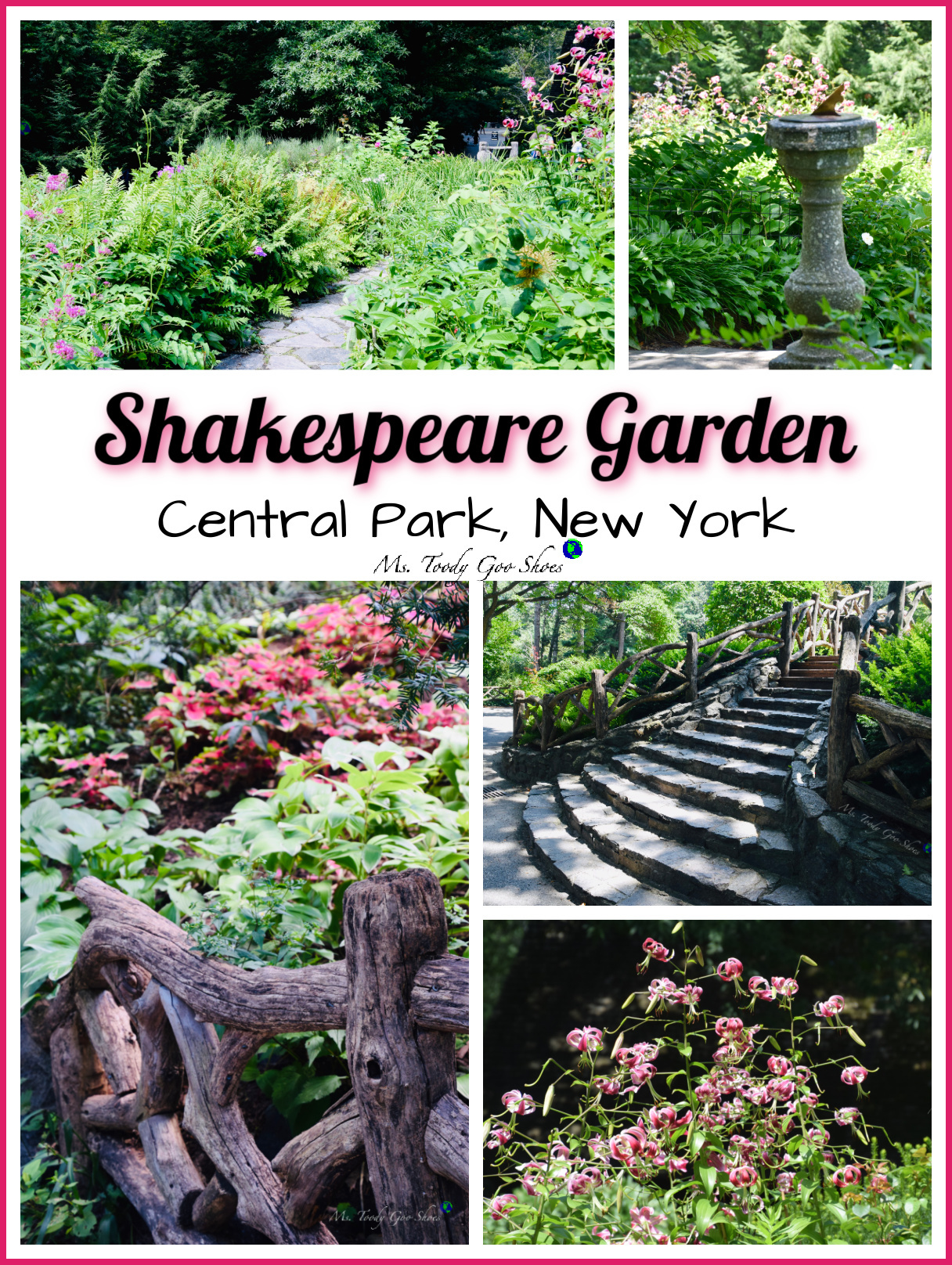 Shakespeare Garden in Central Park is a "must see" when visiting NYC in spring or summer. Ms Toody Goo Shoes #mycentralpark