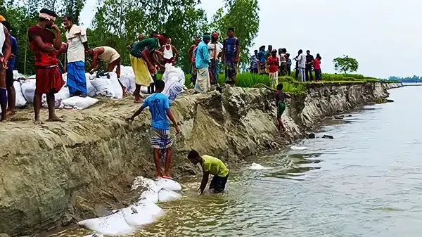 কুড়িগ্রামে সেচ্ছাশ্রমে ভাঙন রোধের চেষ্টা গ্রামবাসীর