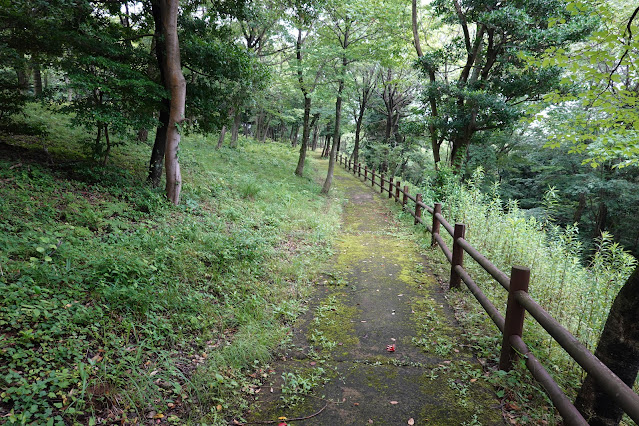 鳥取県西伯郡大山町妻木 鳥取県立むきばんだ史跡公園 弥生の森 遊歩道