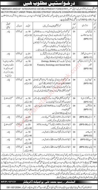 Jobs in Pakistan Forestry Environment and Wildlife Department KPK Jobs 2021