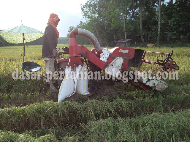 Keunggulan Memanen Padi Memakai Mesin Teknologi Modern