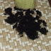 Hair Clippings to Clean up Oil Spills