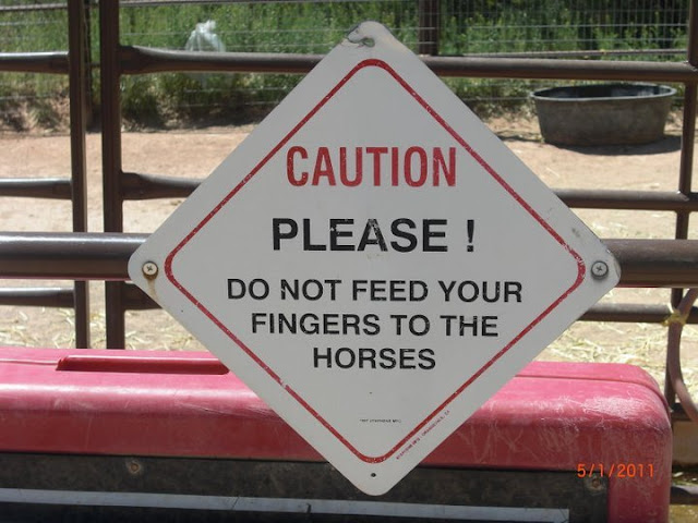 funny zoo sign - please don't feed your finger to the horse