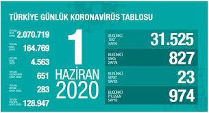1 Haziran Koronavirüs Sonuçları Ne Oldu ?