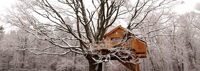 snow, winter, treehouse
