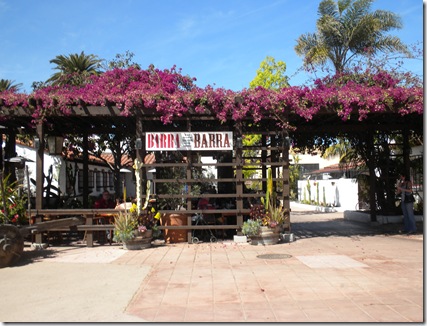 Old Town 1