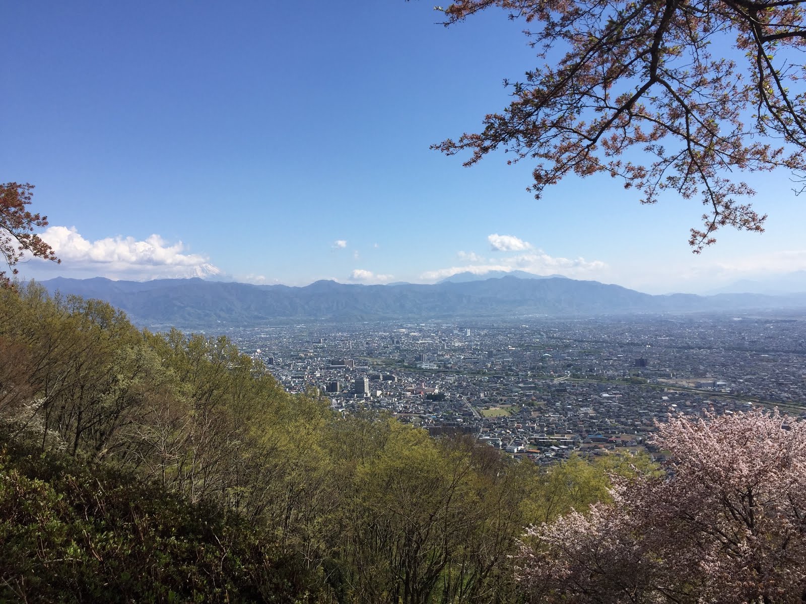 山梨县观光活动 簡体 森林 如可爱的微型花园