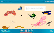 ANIMALES INVERTEBRADOS: Internet en el Aula