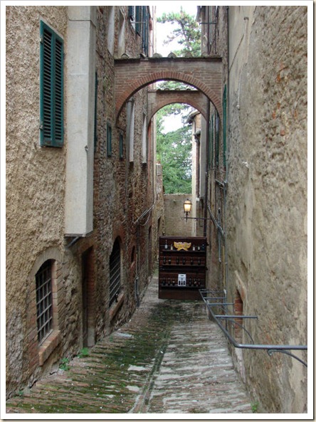 DSC08613