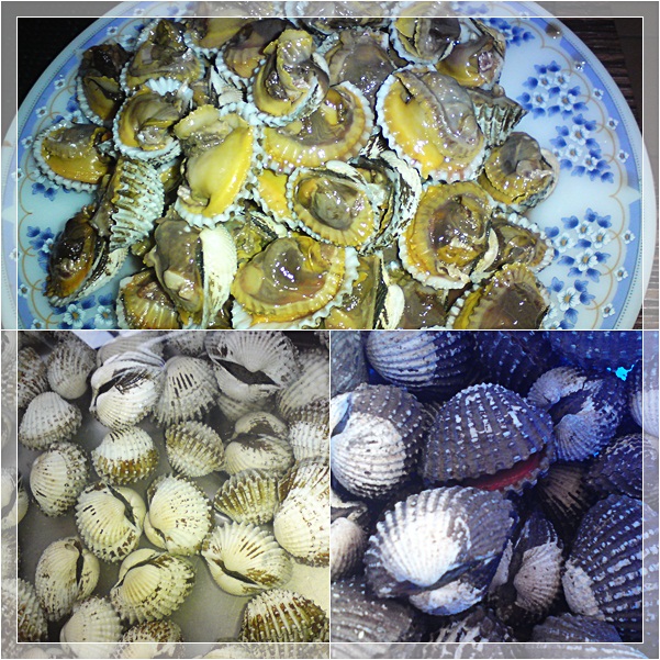 Kerang masak sos tiram