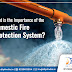 What is the Importance of the Domestic Fire Protection System?