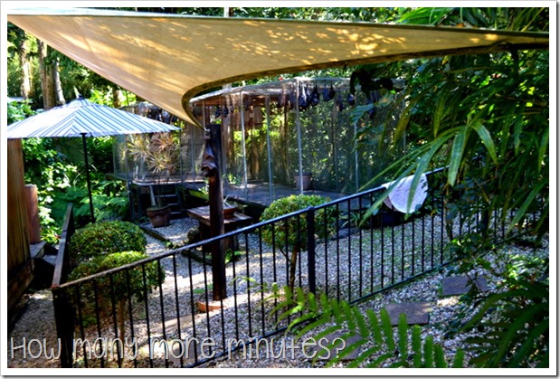 Kuranda Village | How Many More Minutes?
