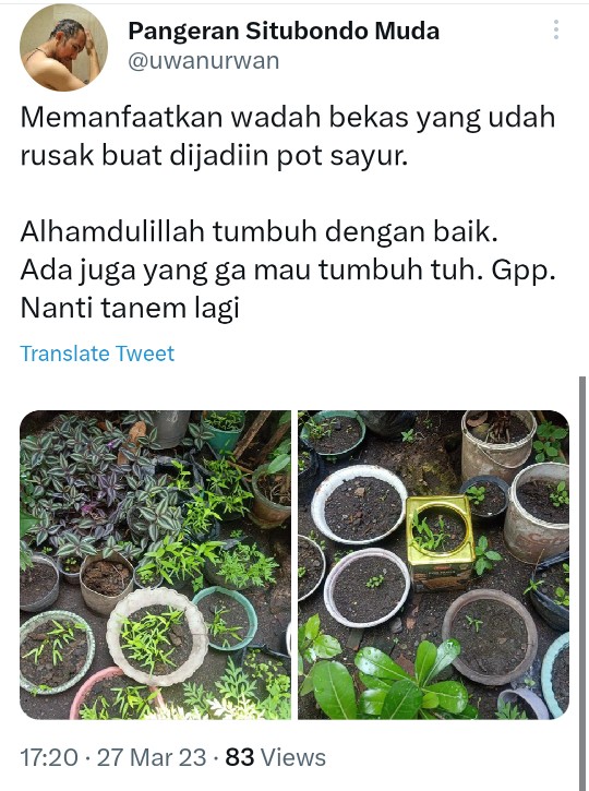 Selamatkan bumi krisis iklim