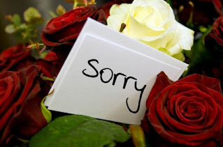 SORRY IN HINDI