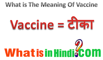 What is the meaning of Vaccine in Hindi