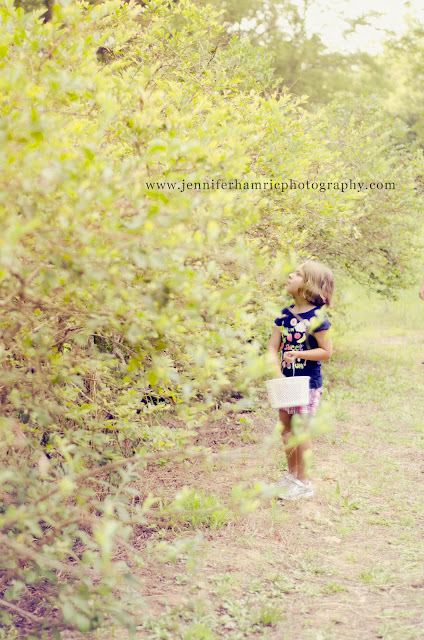 Greenville Family Photographer