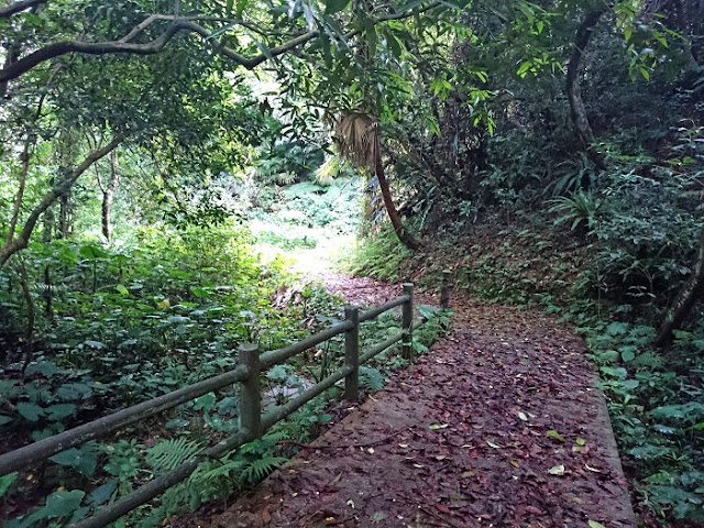 ティダガー森林公園の写真